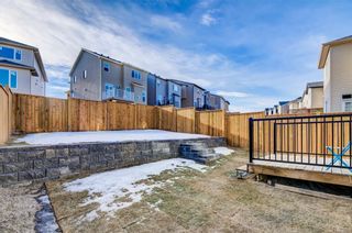 Photo 36: 112 NOLANLAKE Cove NW in Calgary: Nolan Hill Detached for sale : MLS®# C4284849