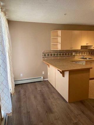 Photo 4: 119 1717 60 Street SE in Calgary: Red Carpet Apartment for sale : MLS®# A2079365