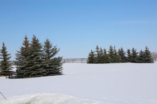 Photo 40: 10 Shannon Loop: Rural Foothills County Detached for sale : MLS®# A2035773