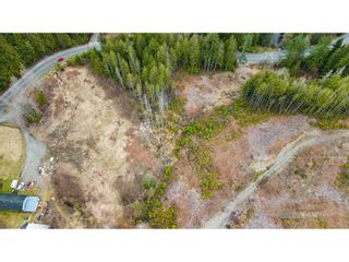 Photo 8: Lot 1 32482 DEWDNEY TRUNK ROAD in Mission: Vacant Land for sale : MLS®# C8056746
