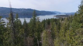 Photo 2: Lot 41 Klondike Trail: Anglemont Vacant Land for sale (North Shuswap)  : MLS®# 10244159