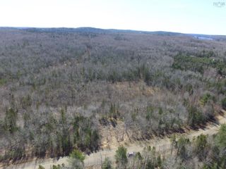 Photo 10: Lot Black River Road in Black River: Kings County Vacant Land for sale (Annapolis Valley)  : MLS®# 202406595