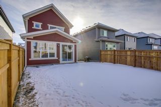 Photo 26: 289 Masters Avenue SE in Calgary: Mahogany Detached for sale : MLS®# A1212121
