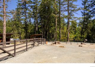 Photo 19: 1386 Wain Rd in North Saanich: NS Deep Cove House for sale : MLS®# 933896