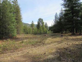 Photo 45: 925 COLUMBIA ROAD in Castlegar: House for sale : MLS®# 2476320