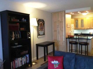Photo 4: 313 423 AGNES Street in New Westminster: Downtown NW Condo for sale in "THE RIDGEVIEW" : MLS®# V1000763