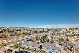 Photo 21: 1413 4944 Dalton Drive NW in Calgary: Dalhousie Apartment for sale : MLS®# A2131476