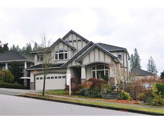 Photo 1: 13418 GRANITE Way in Maple Ridge: Silver Valley Home for sale ()  : MLS®# V1032912