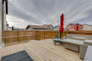 Photo 36: 28 Copperpond Avenue SE in Calgary: Copperfield Detached for sale : MLS®# A1176309
