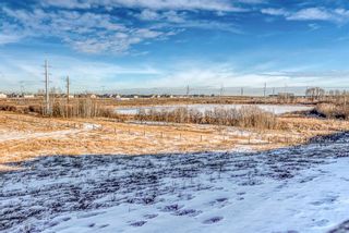 Photo 42: 118 Autumn Circle SE in Calgary: Auburn Bay Detached for sale : MLS®# A1181300