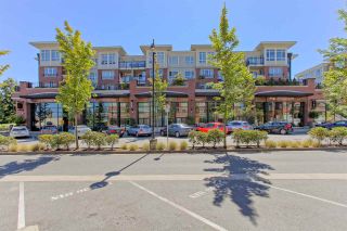 Photo 2: 303 2950 KING GEORGE Boulevard in Surrey: Elgin Chantrell Condo for sale (South Surrey White Rock)  : MLS®# R2100765