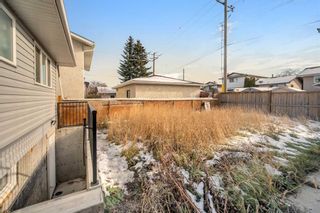 Photo 34: 6936 Temple Drive NE in Calgary: Temple Detached for sale : MLS®# A2092839