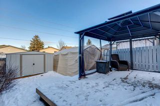 Photo 35: 20 Bedwood Crescent NE in Calgary: Beddington Heights Detached for sale : MLS®# A2099844