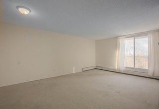Photo 7: 504 4944 Dalton Drive NW in Calgary: Dalhousie Apartment for sale : MLS®# A1048301