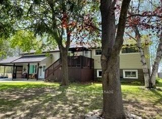 Photo 37: 1563 Elm Tree Road in Kawartha Lakes: Lindsay House (Sidesplit 4) for sale : MLS®# X6006939