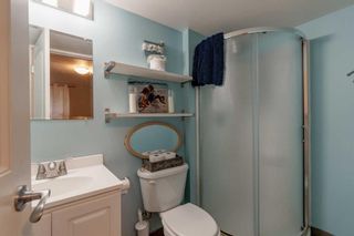 Photo 25: 8512 Fairmount Drive SE in Calgary: Acadia Detached for sale : MLS®# A2130294