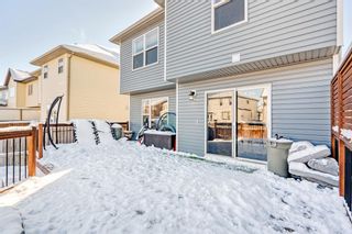 Photo 26: 984 Copperfield Boulevard SE in Calgary: Copperfield Detached for sale : MLS®# A2028253