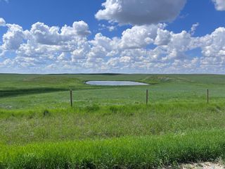 Photo 2: Rapley Ranch & Arena in Lone Tree: Farm for sale (Lone Tree Rm No. 18)  : MLS®# SK932414