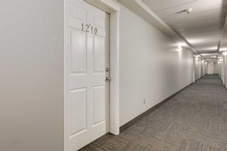 Photo 3: 1210 115 Prestwick Villas SE in Calgary: McKenzie Towne Apartment for sale : MLS®# A2125964