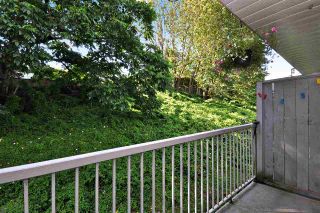 Photo 19: 306 2535 HILL-TOUT Street in Abbotsford: Abbotsford West Condo for sale : MLS®# R2092120