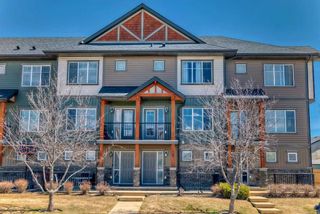 Photo 50: 248 Skyview Ranch Way NE in Calgary: Skyview Ranch Row/Townhouse for sale : MLS®# A2124749