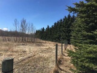 Photo 13: 32182 TWP RD 262 in Rural Rockyview County: Rural Rocky View MD House for sale : MLS®# C4006884