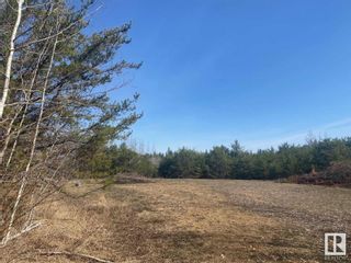 Photo 12: 61112 Hiway 855: Rural Smoky Lake County Vacant Lot/Land for sale : MLS®# E4341803