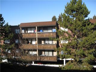 Photo 7: 316 8870 CITATION Drive in Richmond: Brighouse Condo for sale in "CHARTWELL MEWS" : MLS®# V930938