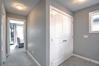 Photo 32: 180 Evanspark Gardens NW in Calgary: Evanston Detached for sale : MLS®# A1144783