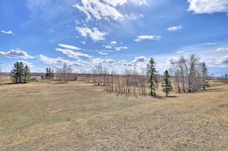 Photo 45: 47 Coverton Mews NE in Calgary: Coventry Hills Detached for sale : MLS®# A1214027