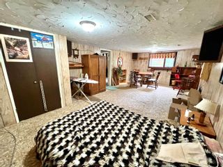 Photo 22: 768 WINGER Road in Williams Lake: Esler/Dog Creek House for sale : MLS®# R2714752
