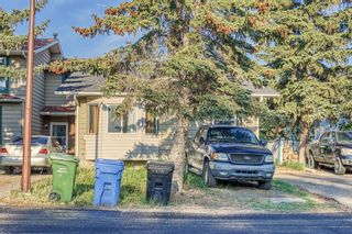 Photo 42: 205 Pineset Place NE in Calgary: Pineridge Semi Detached (Half Duplex) for sale : MLS®# A2052172