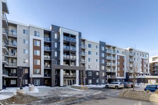 Photo 2: 3325 4641 128 Avenue NE in Calgary: Skyview Ranch Apartment for sale : MLS®# A2033726