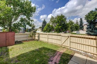Photo 26: 74 32 WHITNEL Court NE in Calgary: Whitehorn Row/Townhouse for sale : MLS®# A1016839