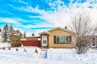 Photo 1: 232 Erin Mount Crescent SE in Calgary: Erin Woods Detached for sale : MLS®# A2022417