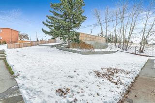 Photo 32: 4 1603 McGonigal Drive NE in Calgary: Mayland Heights Row/Townhouse for sale : MLS®# A2013060