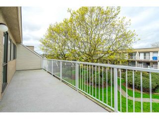 Photo 21: 96 17716 60 Avenue in Surrey: Cloverdale BC Condo for sale in "Clover Park Gardens" (Cloverdale)  : MLS®# R2684381