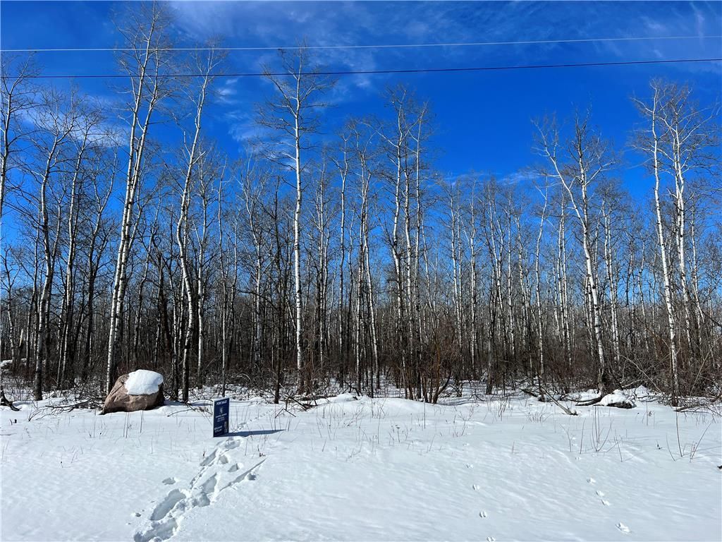 Main Photo: 14 Lillys Cove in La Broquerie: Vacant Land for sale : MLS®# 202303920