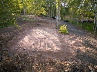 Photo 4: 2541 Broad Cove Road in Bay View: Digby County Vacant Land for sale (Annapolis Valley)  : MLS®# 202312775