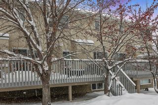 Photo 38: 85 Cedarview Mews SW in Calgary: Cedarbrae Row/Townhouse for sale : MLS®# A2010667