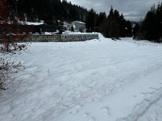Photo 6: 1680 COLUMBIA AVENUE in South Castlegar: Vacant Land for sale : MLS®# 2468883