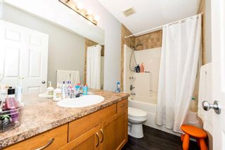 Photo 30: 9 Copperpond Link SE in Calgary: Copperfield Detached for sale : MLS®# A2127671