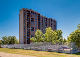Photo 37: 1214 4944 Dalton Drive NW in Calgary: Dalhousie Apartment for sale : MLS®# A2122611