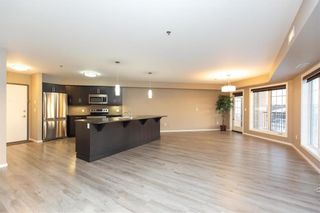 Photo 9: 327 25 Bridgeland Drive in Winnipeg: Bridgwater Forest Condominium for sale (1R)  : MLS®# 202401524