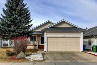 Photo 1: 64 Jensen Heights Place NE: Airdrie Detached for sale : MLS®# A1193639