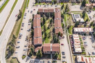 Photo 20: 933 11620 Elbow Drive SW in Calgary: Canyon Meadows Apartment for sale : MLS®# A2131177