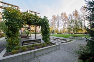 Photo 27: 215 262 SALTER STREET in New Westminster: Queensborough Condo for sale : MLS®# R2696751