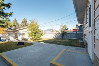 Photo 29: 3719 28 Street SE in Calgary: Dover Detached for sale : MLS®# A1040737