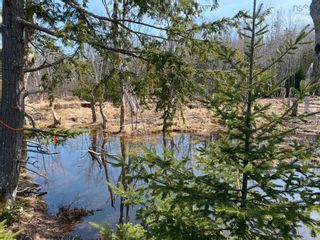 Photo 30: Lot 22 Lakeside Drive in Little Harbour: 108-Rural Pictou County Vacant Land for sale (Northern Region)  : MLS®# 202207910
