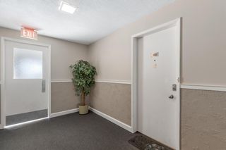 Photo 4: 302 3103 Blakiston Drive NW in Calgary: Brentwood Apartment for sale : MLS®# A2019913